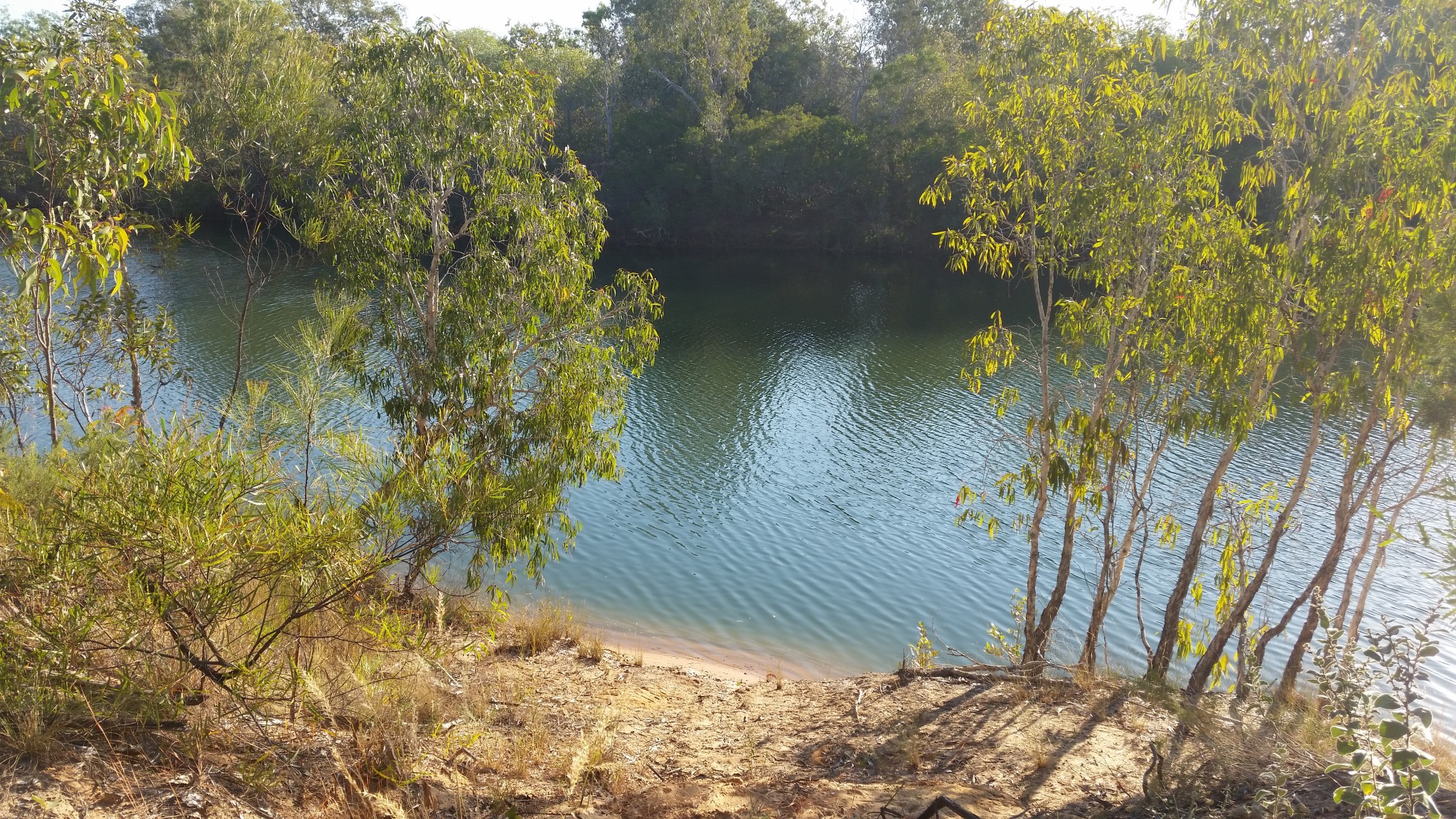 catch-barramundi-mangrove-jacks-salmon-queenfish-and-gt-s